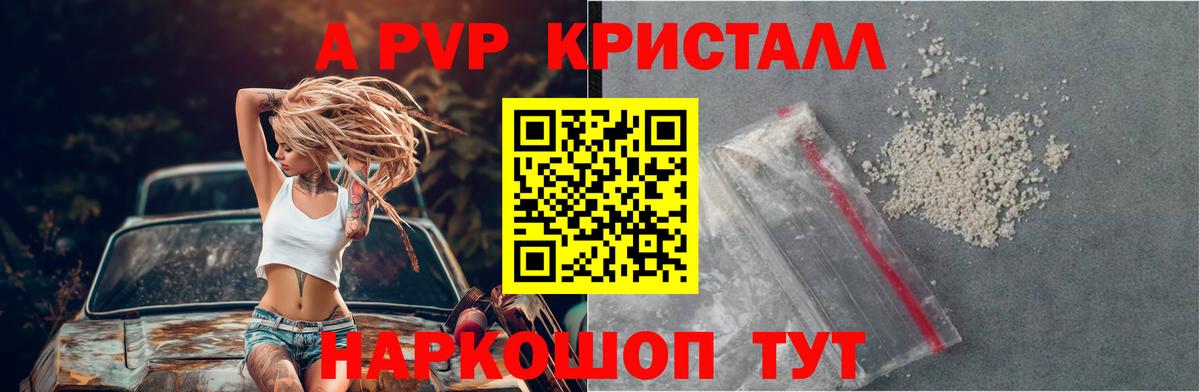 A PVP СК Междуреченск