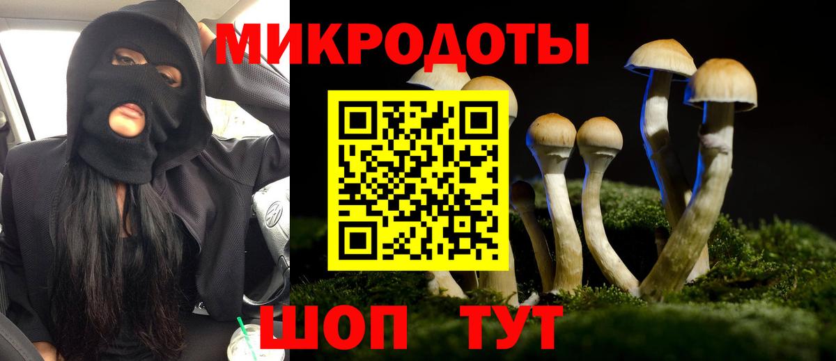 Псилоцибиновые грибы GOLDEN TEACHER  Галлюциногенные грибы Magic Shrooms  Междуреченск  Вход с VPN 